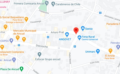 Distribuidor Ancud