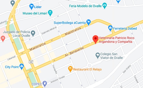 Distribuidor Ovalle